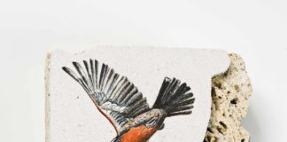 Bežigrajska galerija 1: Maja Šubic