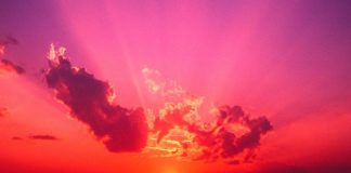 Sreča v nesreči (3P-19)