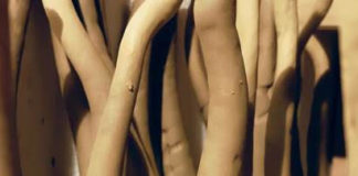 Kiparska razstava: Polona Demšar: Rastje