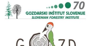 Nagradni likovni natečaj: RIŠEMO DREVESA IN GOZD