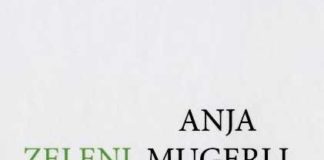 KIRA JE TISTA KNJIGA V ZELENEM FOTELJU?