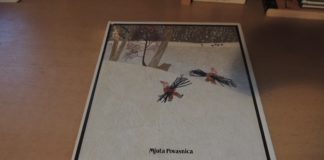 Mjuta Povasnica: Zimska pravljice