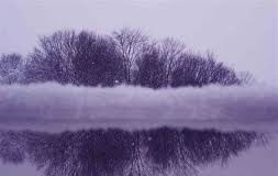 Vladimira Rejc: Crumbled Thoughts