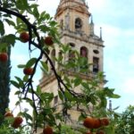 02cordoba