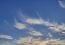 Ksenija Šešerko: Jutra