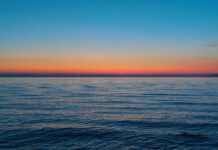 Pesem Vladimire Rejc