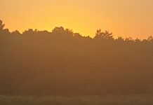 Poezija Sonje Votolen