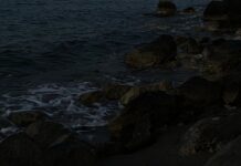 Morska poezija Vladimire Rejc