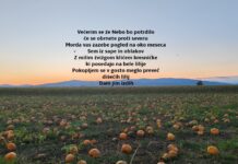 Poezija Sonje Votolen