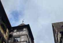 Cikel pesmi Vladimire Rejc. Skrivnost, v nežni tančici