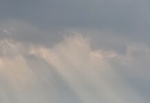 Cikel pesmi Vladimire Rejc: Obsijan trenutek