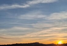 Jean Paul Sartre: Misel za lep dan