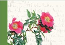 Predstavitev knjige Alojza Rebule Dnevniški zapisi