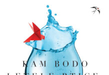 O novem romanu Maje Drolec