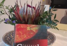 Maja Drolec o knjigi Lepotica s pomarančami