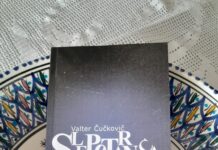 Maja Drolec o knjigi Slepotarnica