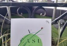 Maja Drolec: Mnenje o knjigi Lilijane Homovec; V času visokih trav