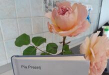 Maja Drolec o knjigi Bili smo trije
