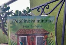 Maja Drolec o knjigi Petelinova minuta
