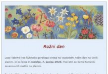 Rožni dan
