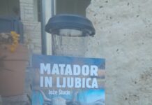 Maja Drolec: Mnenje o pesniški zbirki Matador in ljubica
