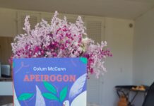 Maja Drolec o knjigi Apeirogon