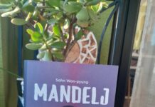 Maja Drolec o knjigi Mandelj