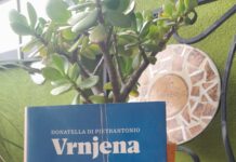 Maja Drolec o knjigi Vrnjena