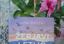 Maja Drolec o knjigi Žerjavi letijo na jug
